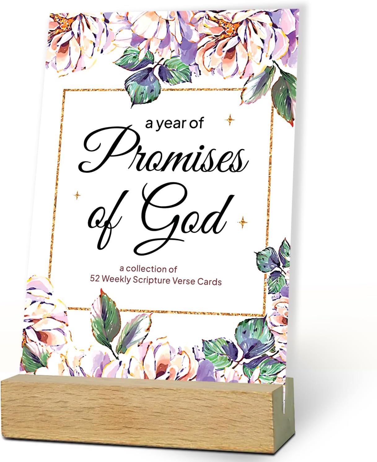 Promises of God Yearly Bible Cards Set
