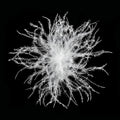 ROSE FEATHER 90% White Goose Down Bulk Fill - 650+ Fill Power