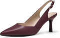 Women's Slingback Kitten Heels Closed Pointed Toe Pumps (Style VPSZ)