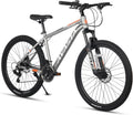AVASTA AV300 Mountain Bike: 21-Speed, Dual Disc Brakes