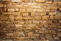 Western Wall Backdrop 12x8ft Ancient Jerusalem Photo Background