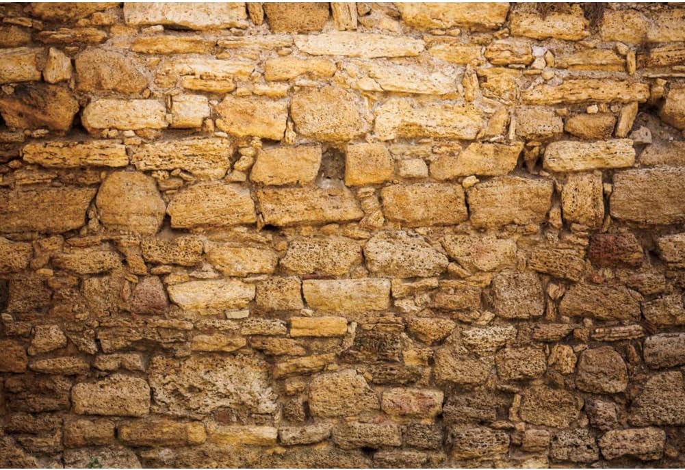 CSFOTO 12x8ft Western Wall Backdrop for Stunning Events