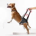 Dog Lift Harness for Extra Large Dogs Hind Leg Support - XL