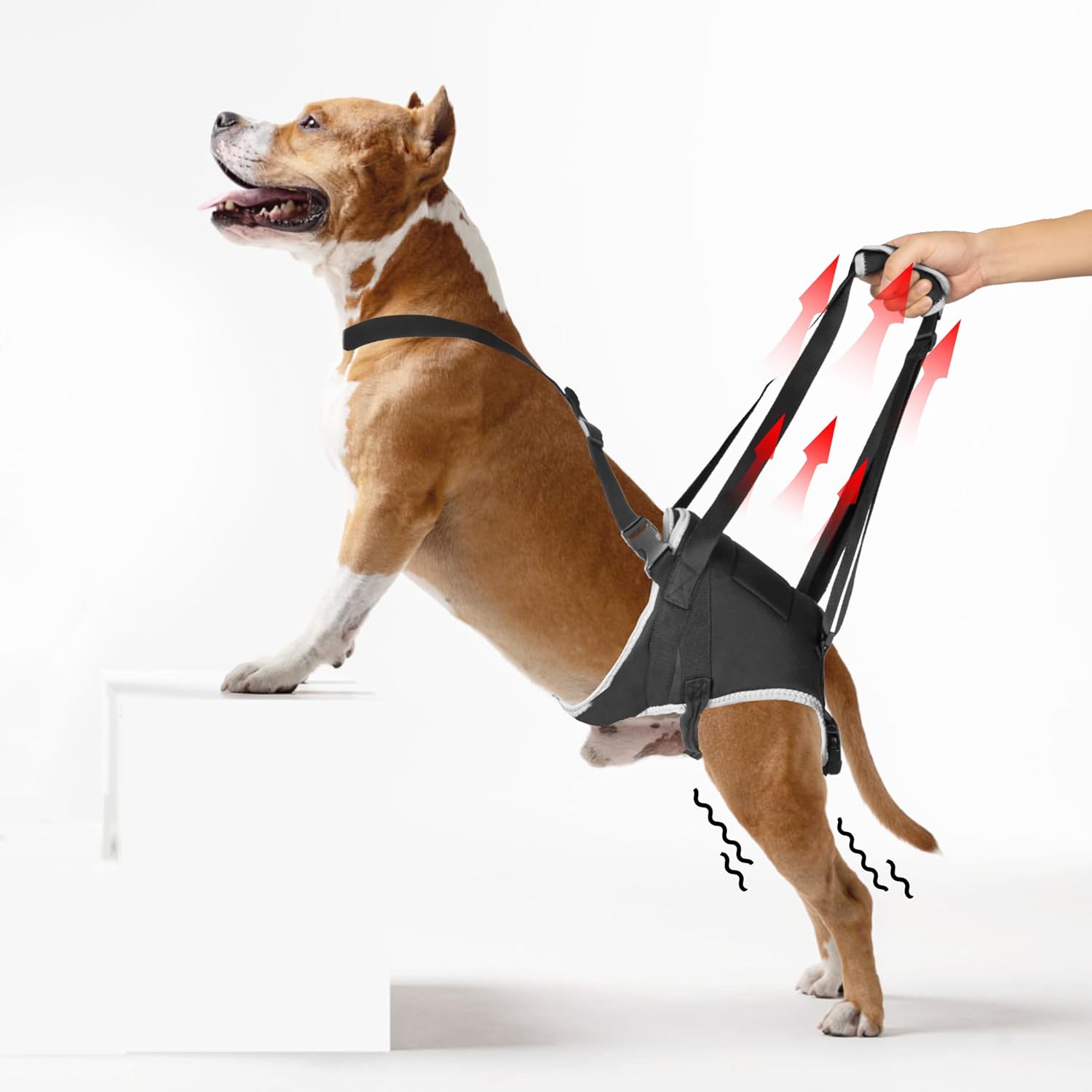 Dog Lift Harness for Large Dogs - Support Sling for Mobility