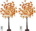 2 Pack 4ft 60LED Lighted Maple Tree - Cozy Fall Harvest Decor