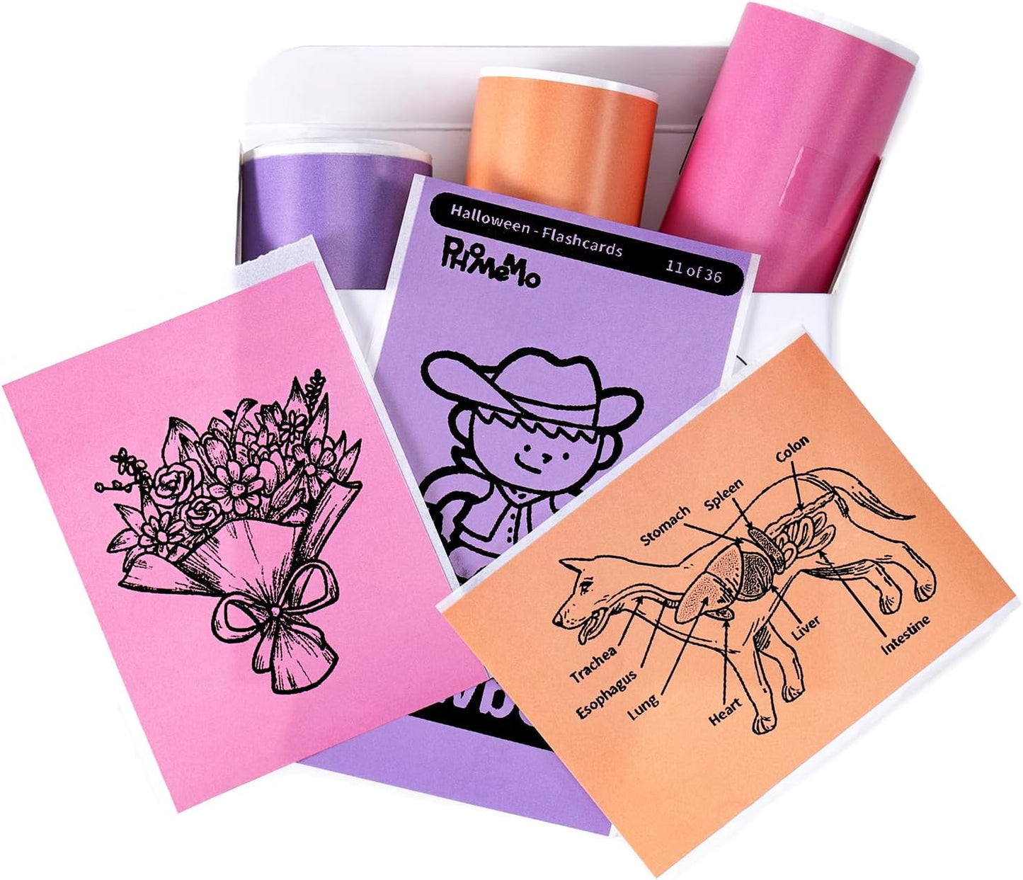 Memoking Mini Printer Sticker Paper - Long-lasting Colors, 50 mm x 3.5 m