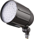 LEONLITE 30W LED Bullet Flood Light 4000LM 3000K - Flag Pole Spotlight