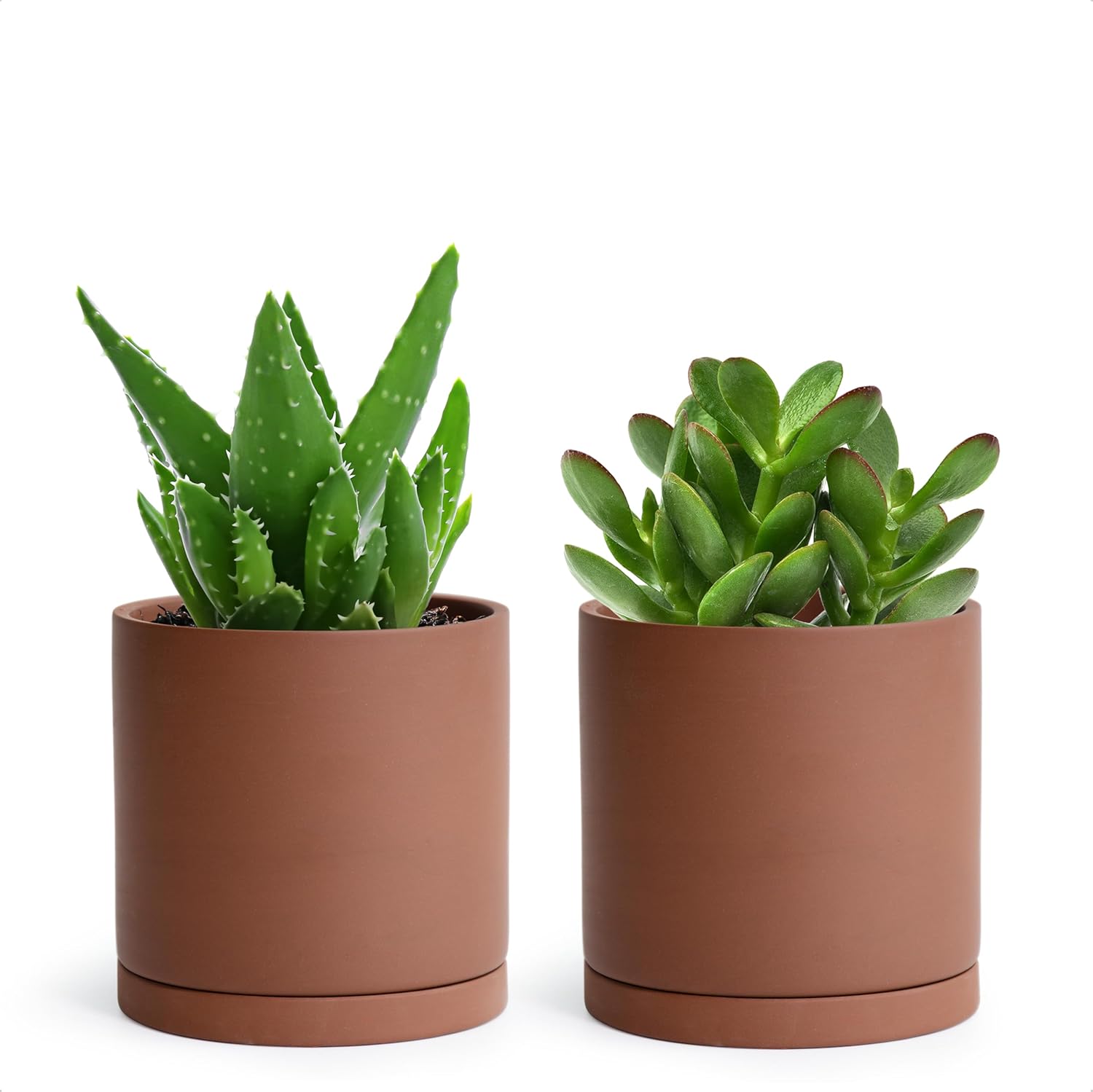 D'vine Dev 5 Inch Rust Terracotta Plant Pot with Drainage Hole