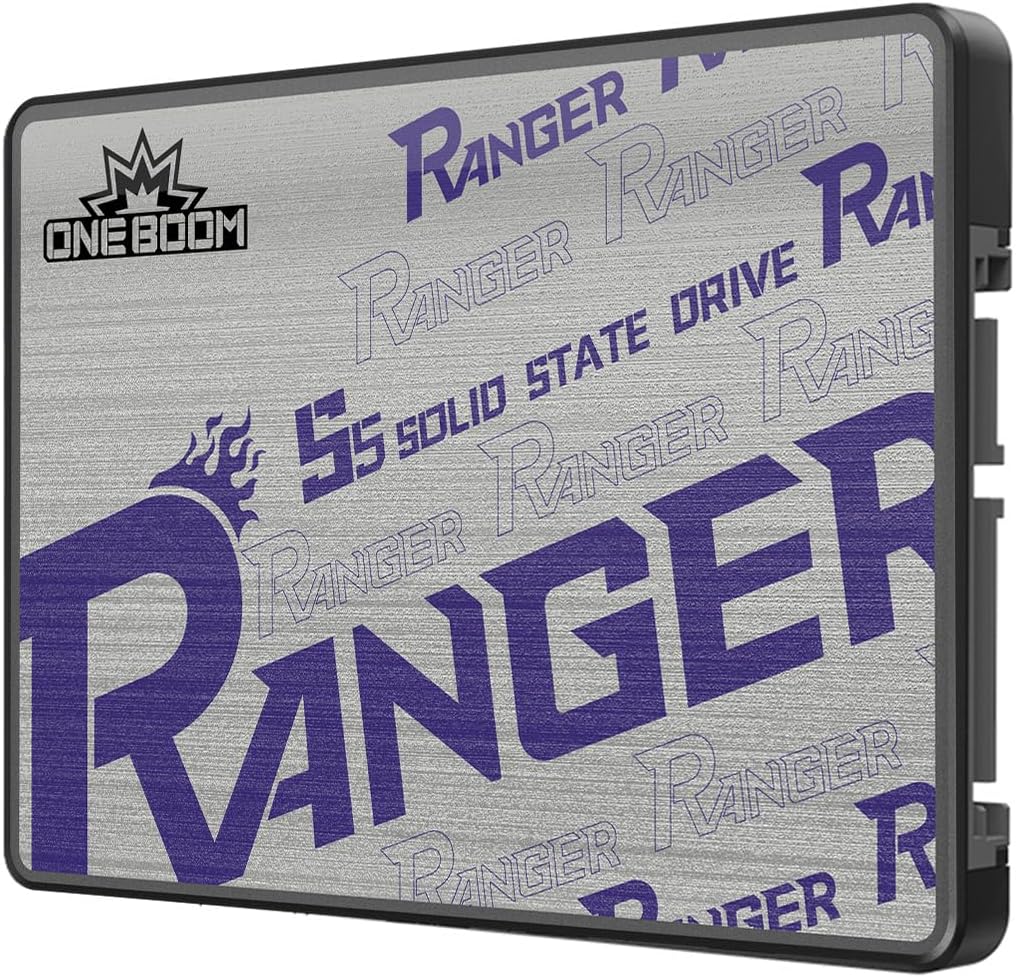 KingSpec OneBoom 1TB SSD for Fast PC and PS4 Upgrades