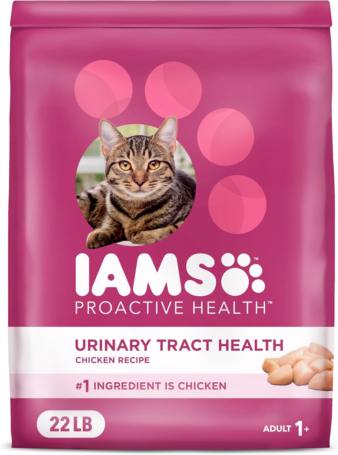 IAMS Proactive Health Dry Cat Food for Urinary Tract Support