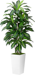 Artificial Dracaena Plant Indoor 5FT - Realistic Faux Tree with Tall