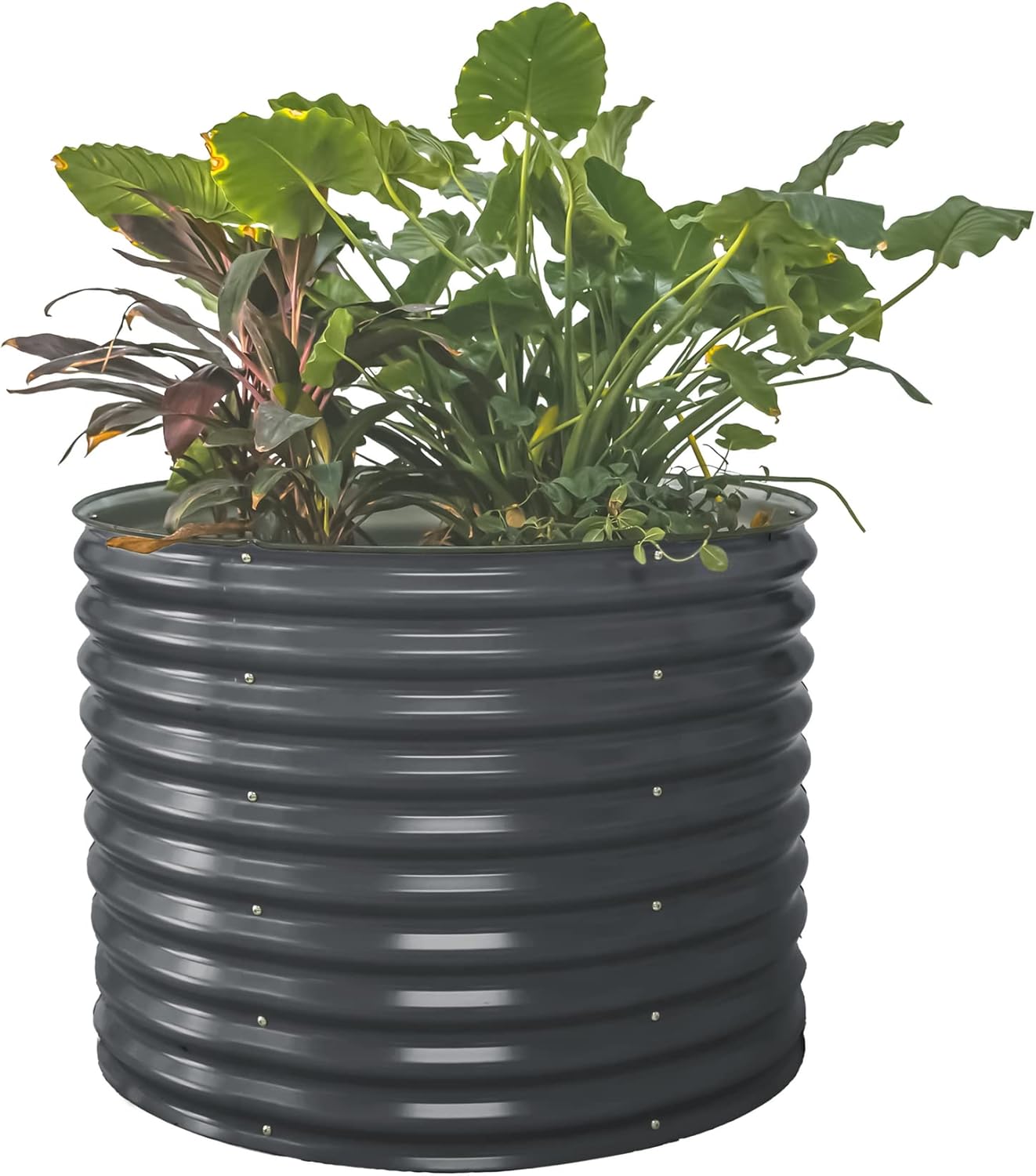 Vego Garden 32in Tall 42in Round Raised Garden Bed Planter Box