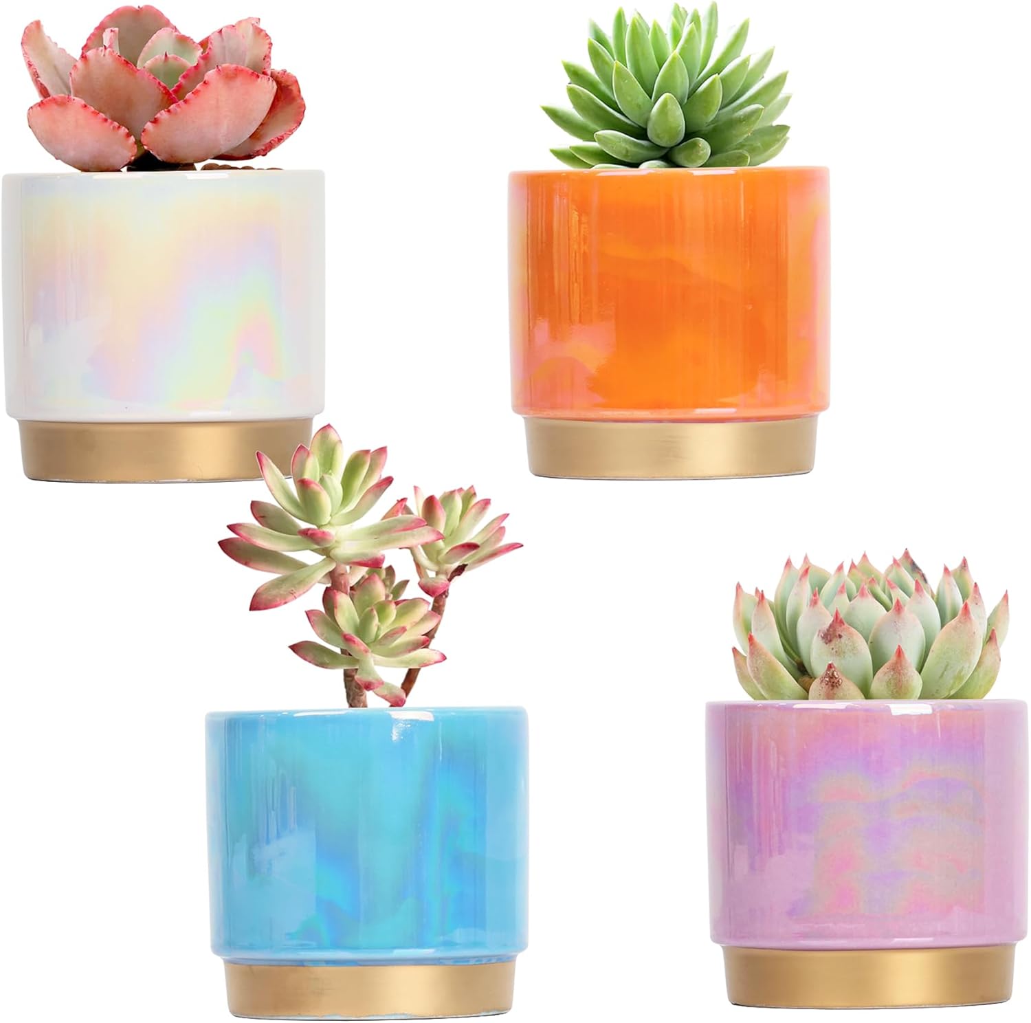 Gepege Succulent Pots Set of 4 with Drainage Holes for Plants