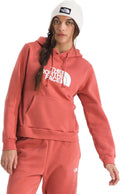 The North Face Womens Evolution Half Dome Hoodie (Style MPJ7)