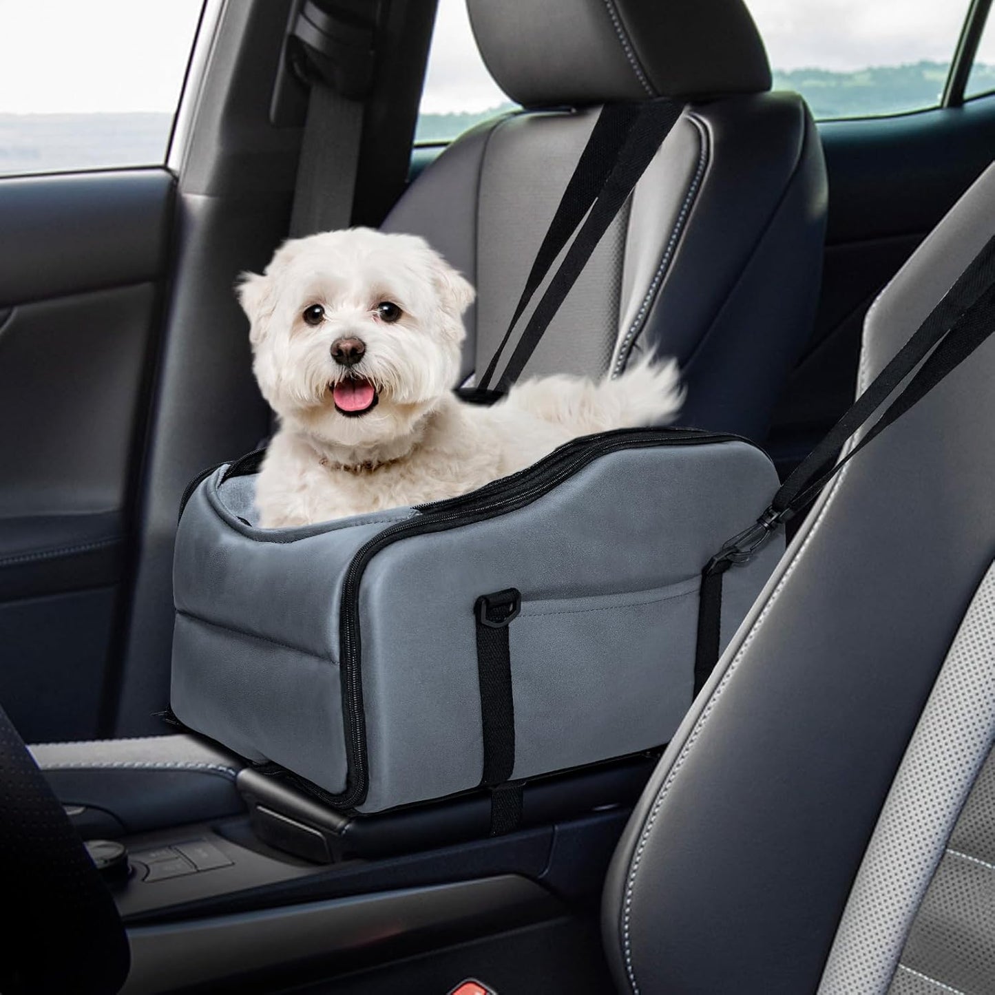 Portable Small Dog Car Seat with Double Safety - ICYAIR