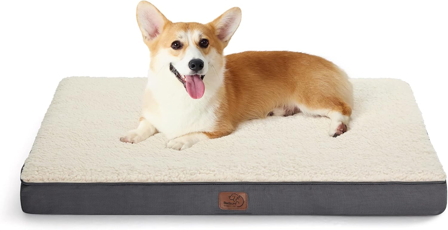 Orthopedic Dog Bed for Medium Dogs - Comfortable & Washable