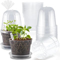 Clear Nursery Pots 6 in 15 Pack with Humidity Domes - Seed Starting