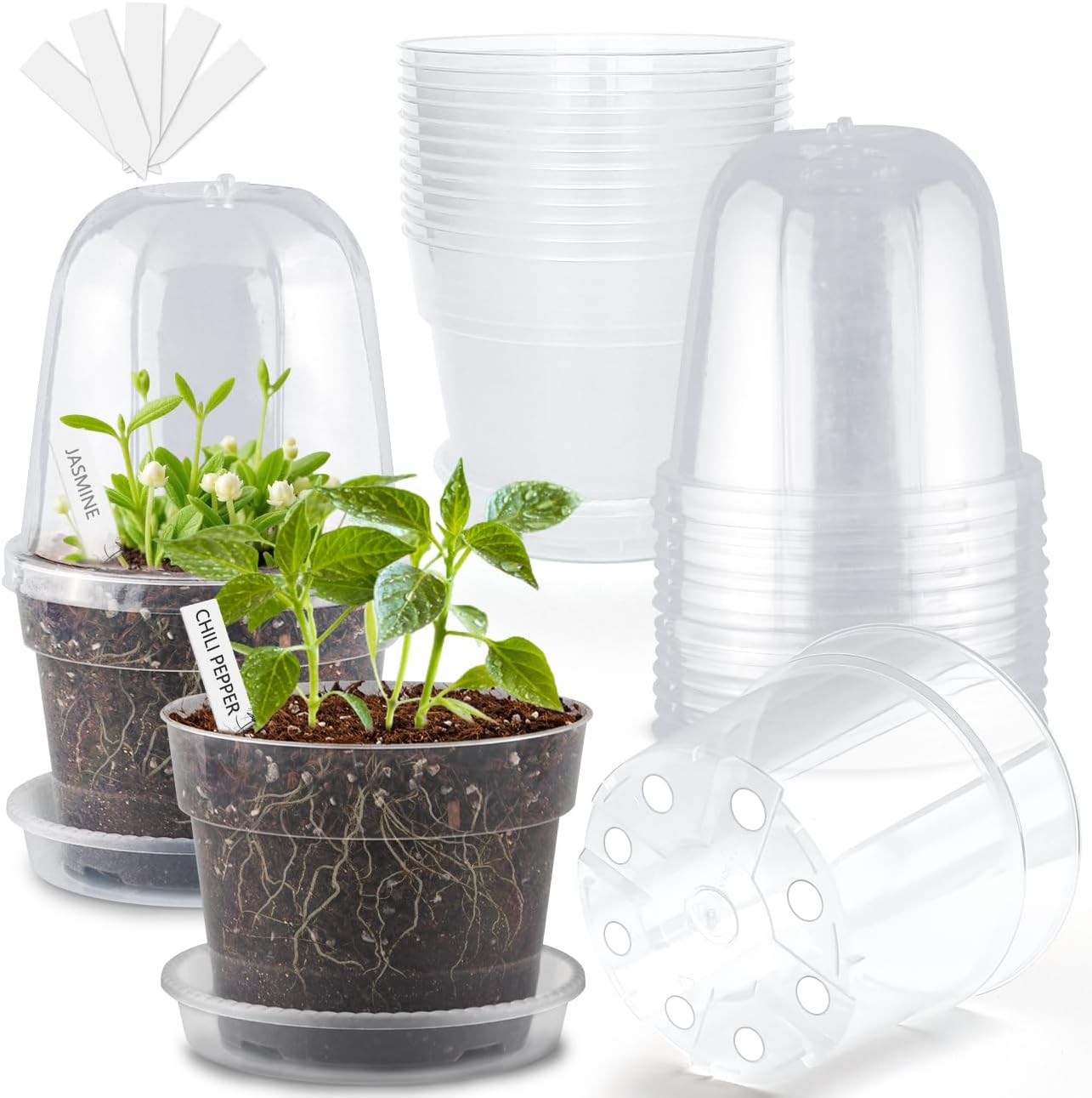 Clear Nursery Pots with Humidity Domes for Healthy Seedlings