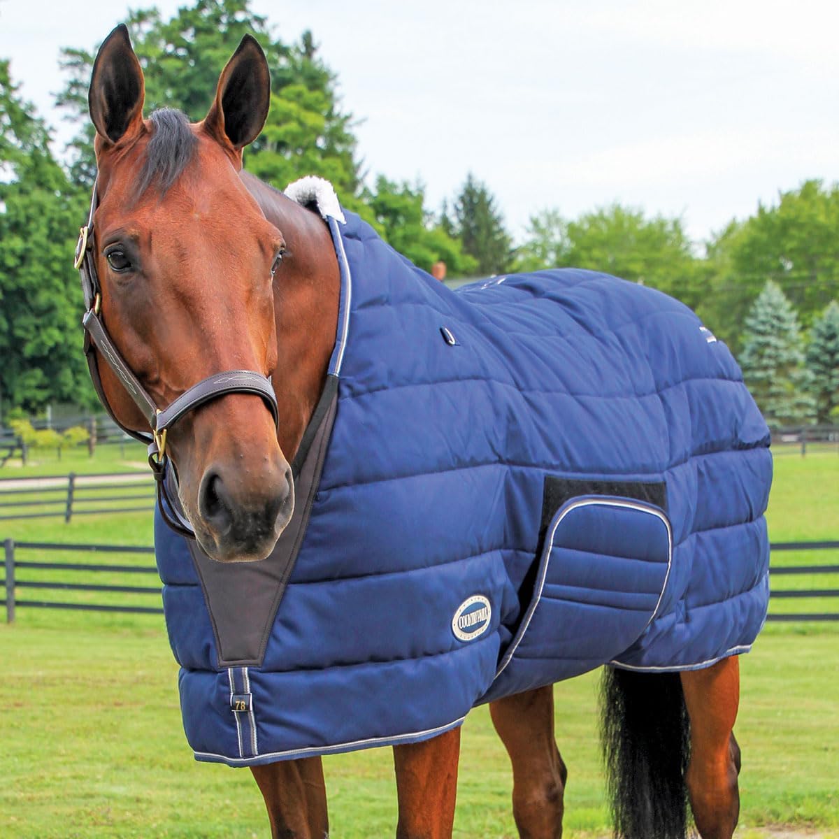 Ultra Heavyweight Stable Blanket for Superior Warmth