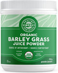 Barley Grass Juice Powder Dietary Supplement - Concentrated Superfood