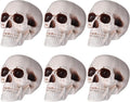 Halloween Skull Decor 6 Pcs Realistic Plastic Human Skulls - 8 in