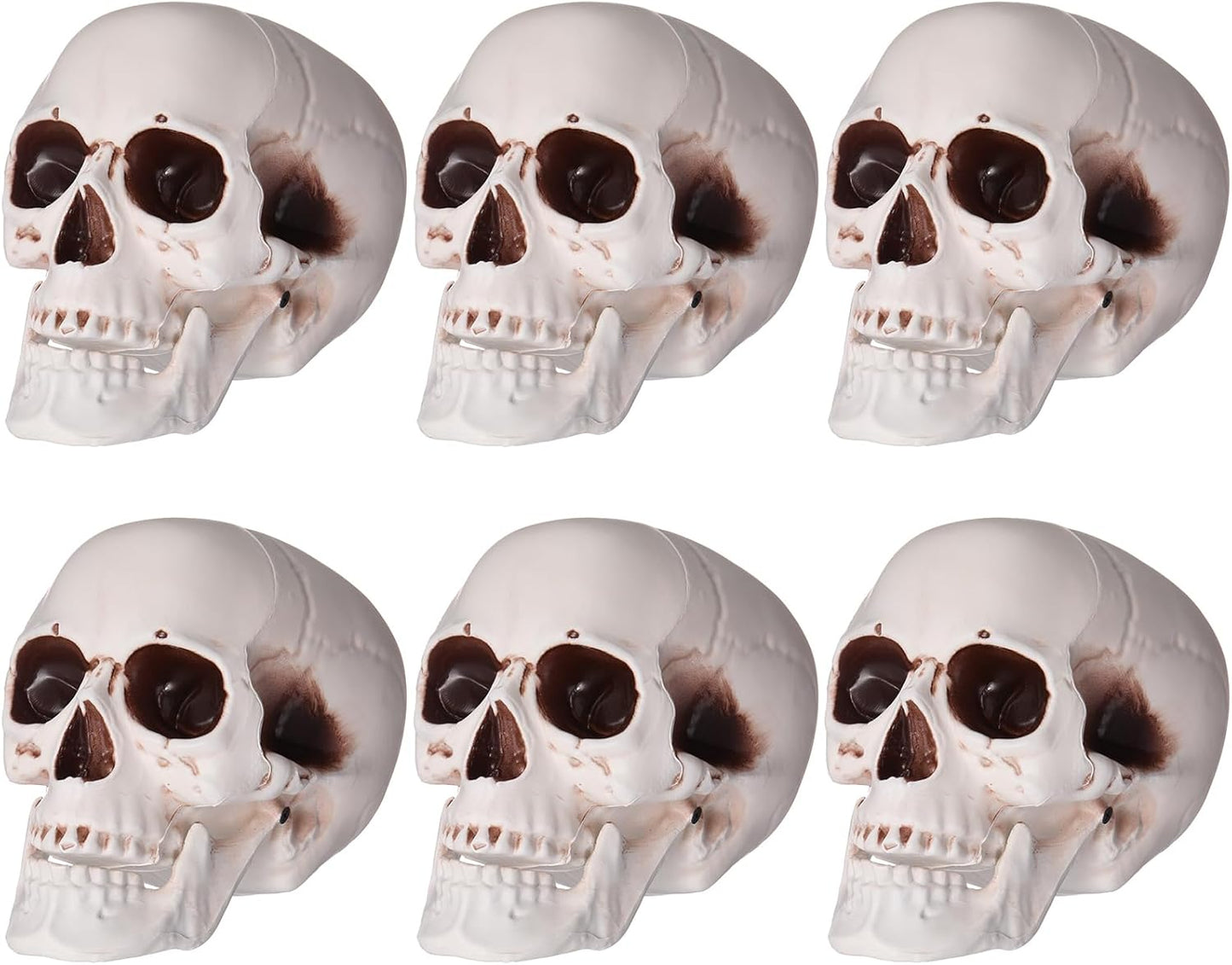 Sratte 6 Pcs Halloween Skull Decor for Spooky Celebrations