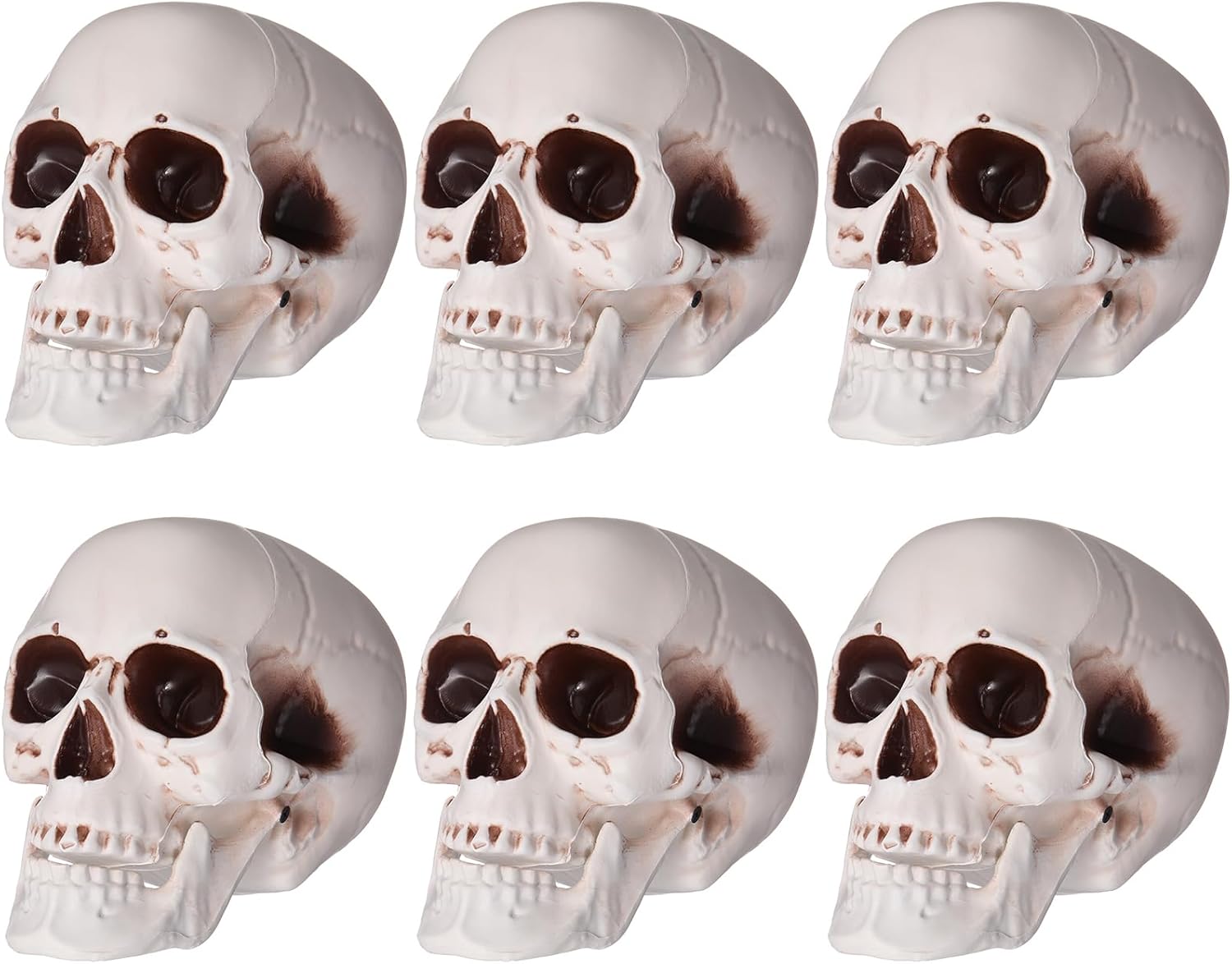 Sratte 6 Pcs Halloween Skull Decor for Spooky Celebrations