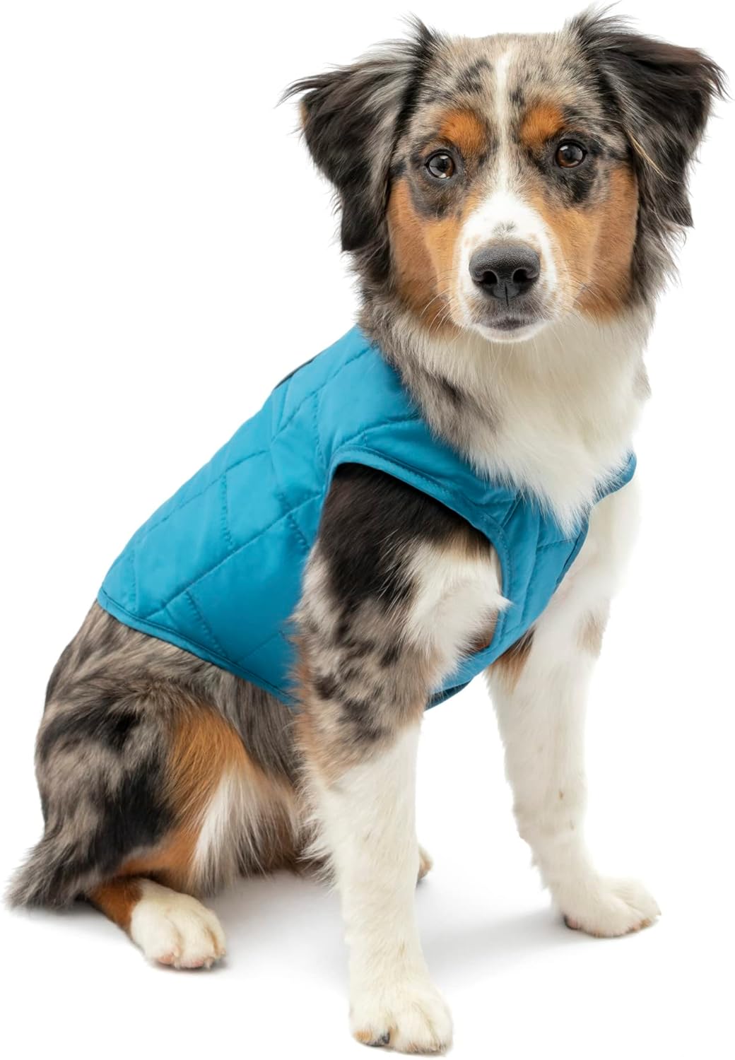 Kurgo Loft Dog Jacket - Reversible Cozy Coat for Active Dogs
