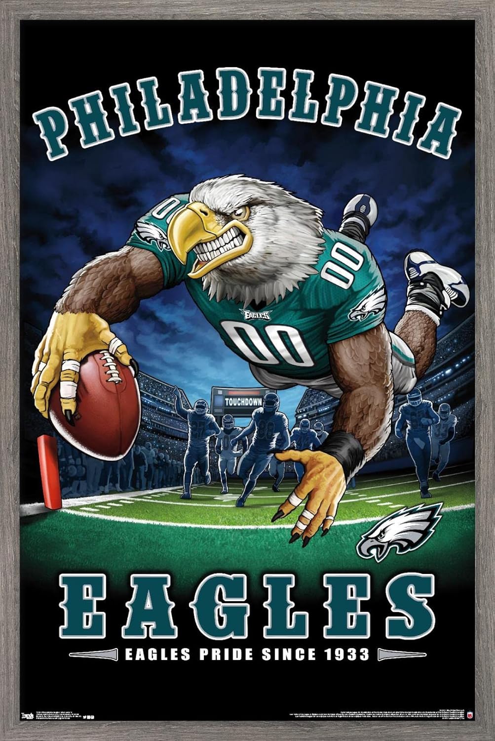 NFL Philadelphia Eagles End Zone 17 Wall Poster for Fans