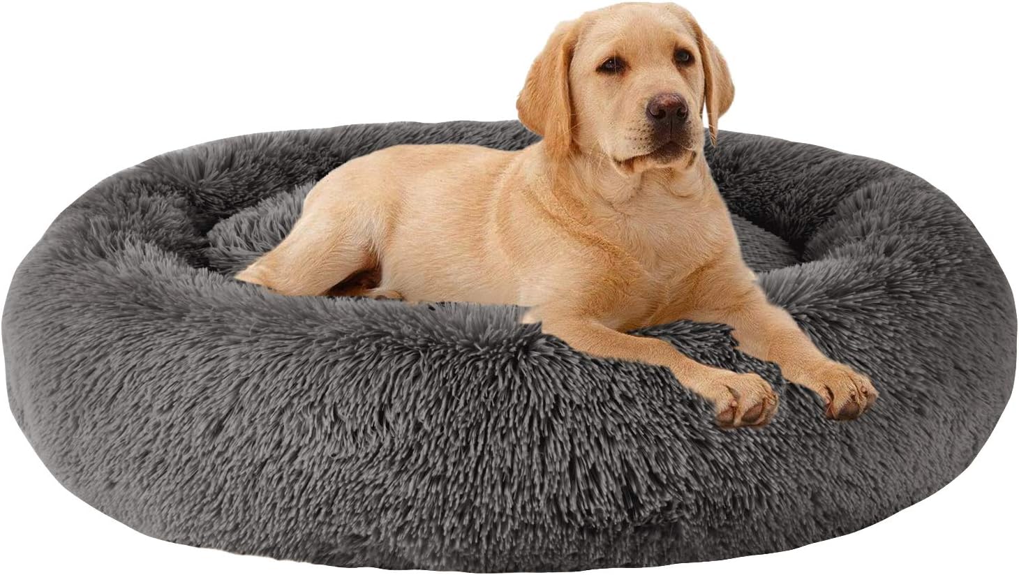 MFOX Calming Dog Bed for Medium and Large Dogs - Cozy Comfort