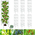 6 Packs Tomato Cages for Garden 12ft12ft56ft Plant Support Cage
