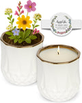 Lemongrass Scented Growing Candle for Home and Outdoor Use