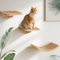 Cat Window Perches Curved Wall Sisal Mat Bed with 2 Floating Steps