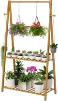 Hanging Plant Shelf 2-Tier Bamboo Stand - Tall 50 in