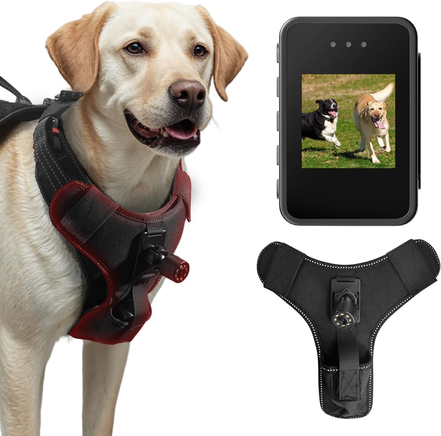 Dog Harness Camera with 1080P Recording and Playback Function