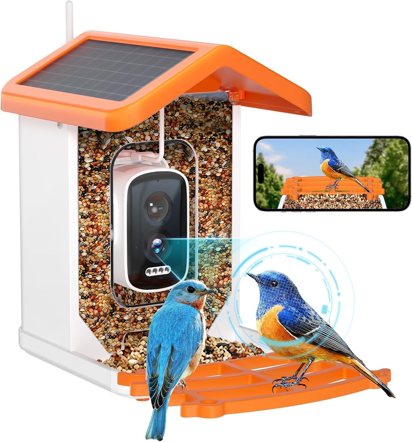 Bird Feeder with AI Bird Species Recognition