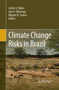 Climate Change Risks in Brazil - Expert of Impacts and Maps