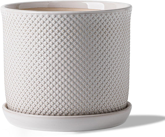 8 Inch Ceramic Plant Pot with Drainage Hole & Saucer for Home
