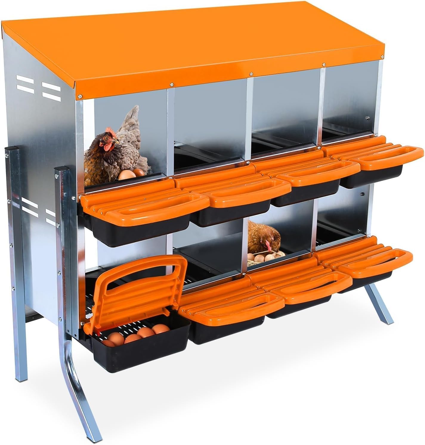Chicken Nesting Boxes for Easy Egg Collection and Roosting