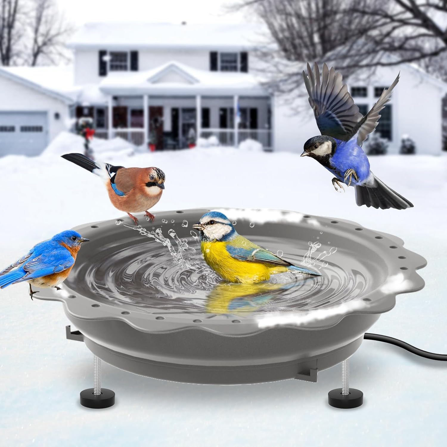 Heated Bird Bath for Outside Winter with Thermostat Control