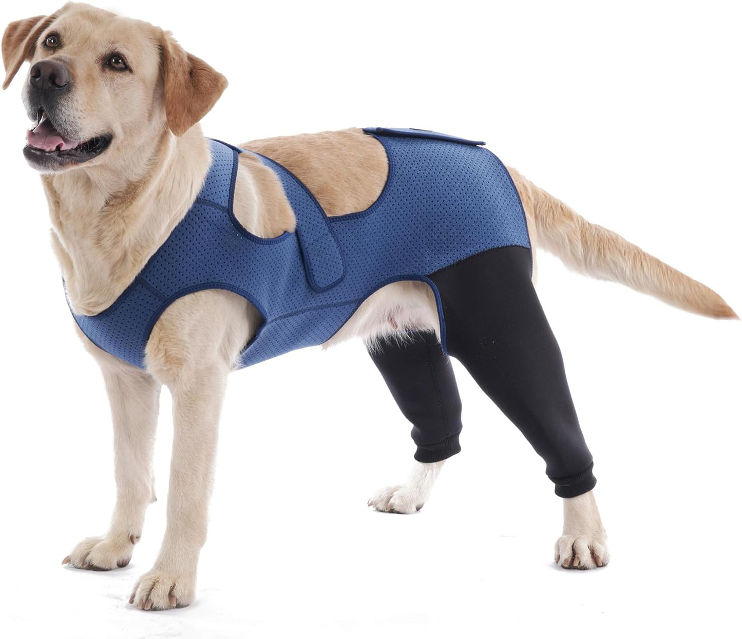 Dog Hind Leg Recovery Sleeve for Comfort and Healing Support