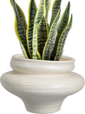 Ceramic Plant Pots 11 Inch Bonsai Large Planters - Stylish White