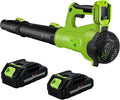Leaf Blower Cordless 21V with 2 Batteries and Fast Charger - Variable