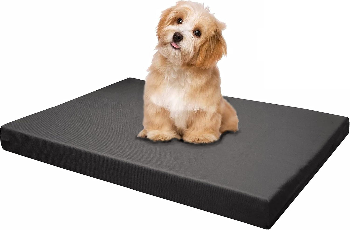 Dogbed4less Memory Foam Platform Dog Bed for Joint Relief