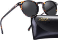 Retro Polarized Sunglasses for Men UV400 Protection - Classic Round