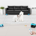 Interactive Cat Toy Mouse Treadmill - Keeps Indoor Cats Active
