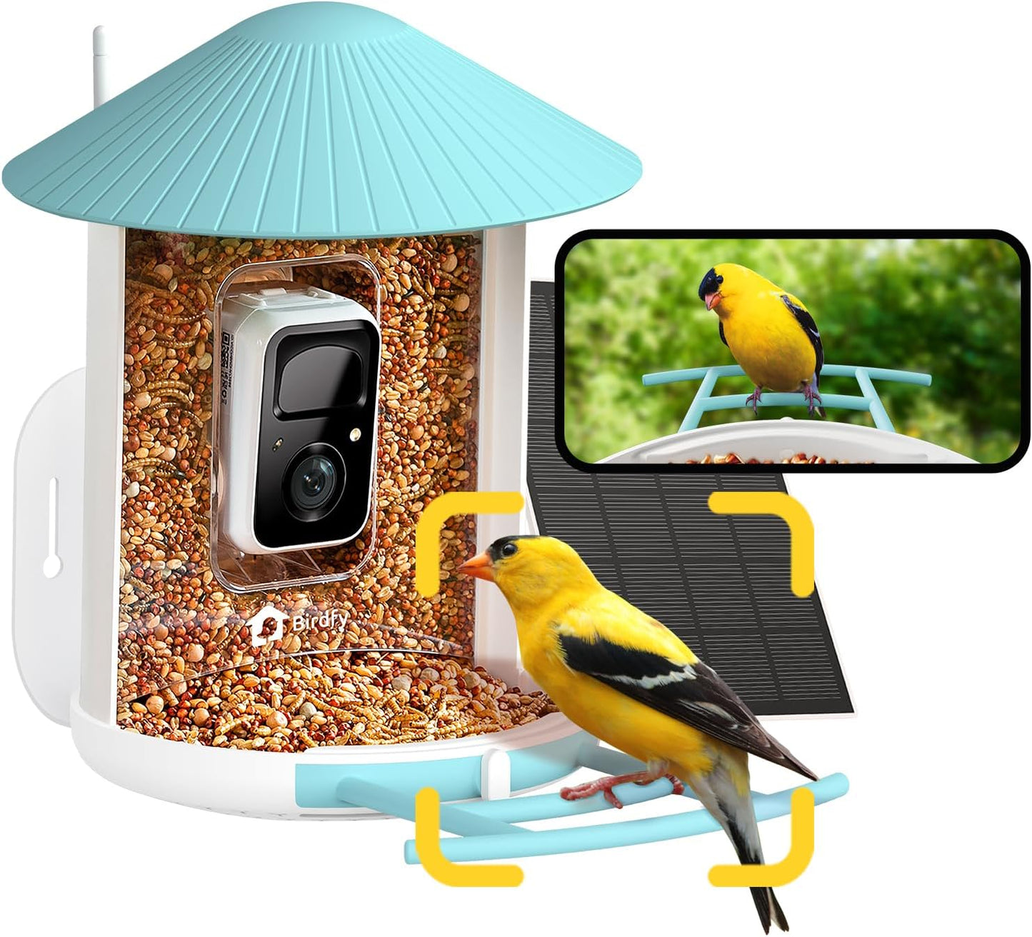AI Bird Feeder Cam: Identify 6000+ Species!