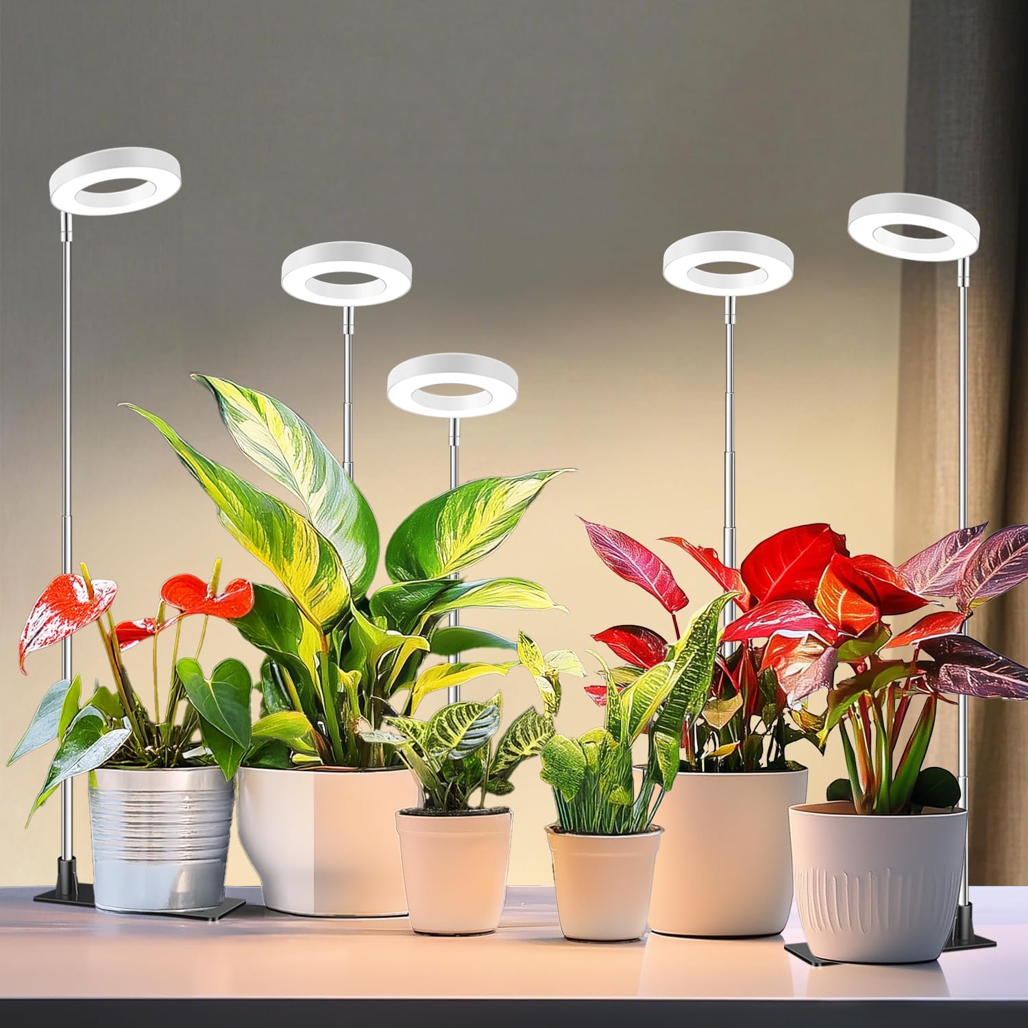 Grow Lights for Indoor Plants with Adjustable Height and Timer