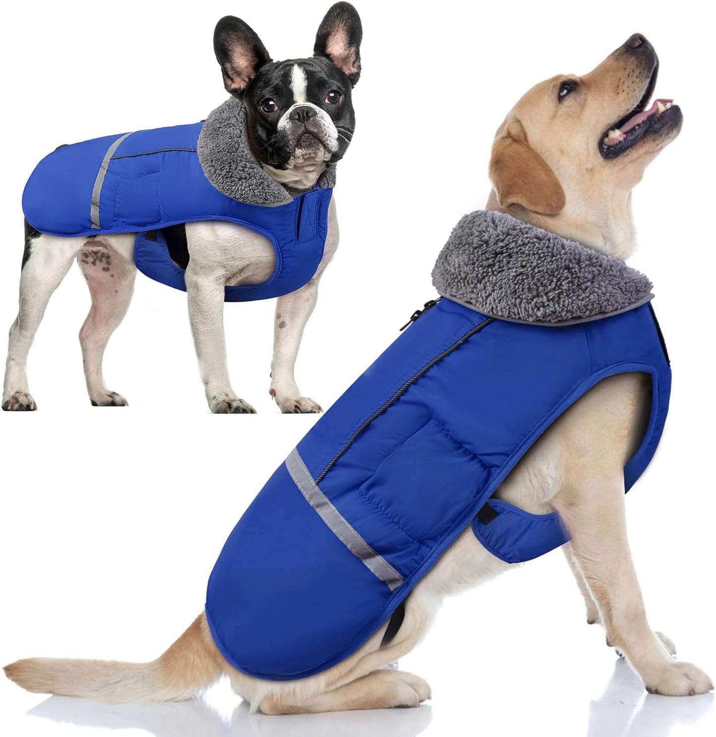 Doglay Dog Coat Waterproof Jacket for Cold Weather Protection
