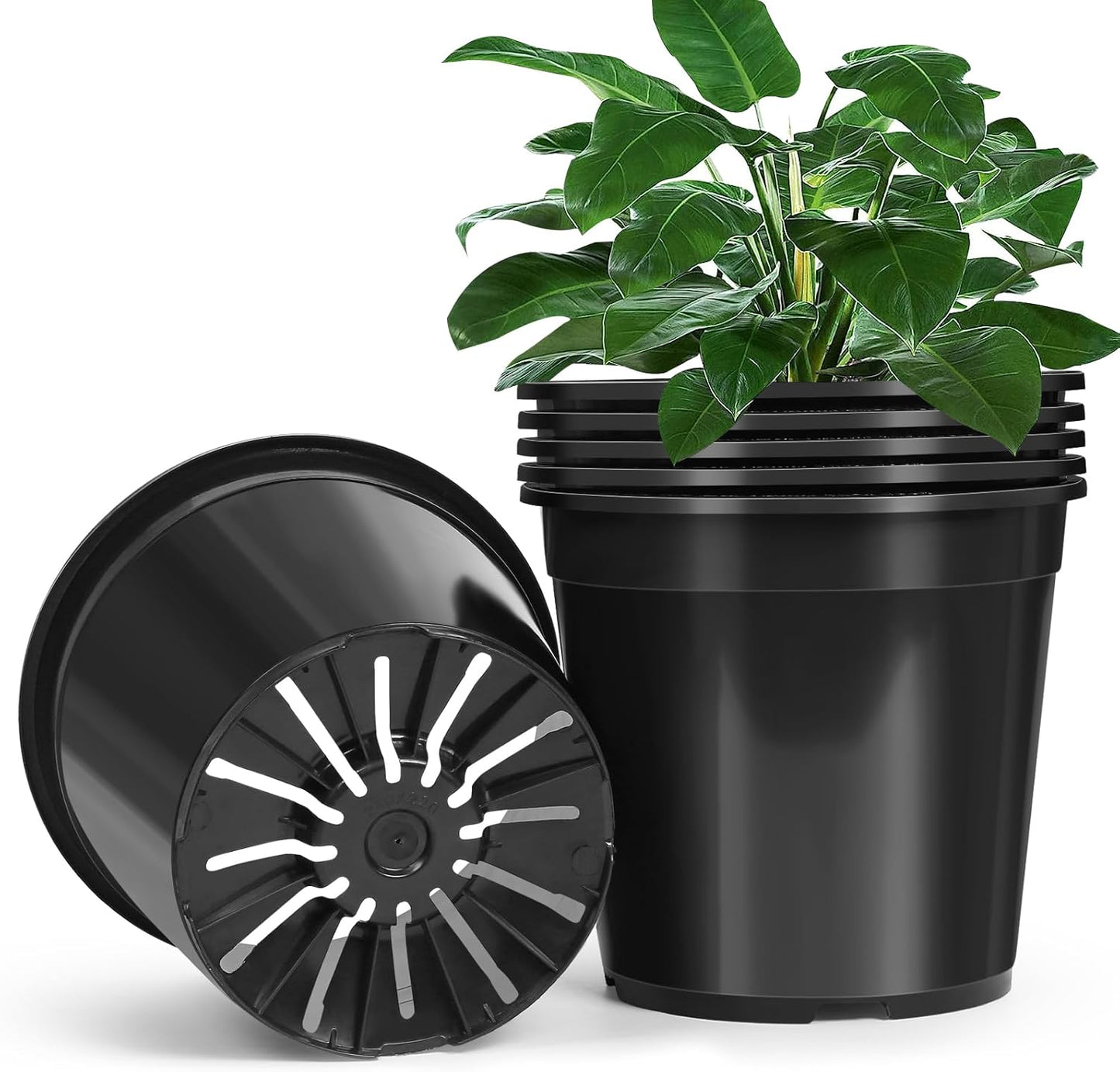6 Pack 5 Gallon Pots for Plants - Durable Plastic Nursery Pots